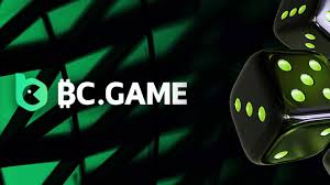 Explore the Exciting Features of the App BC.Game USA 0